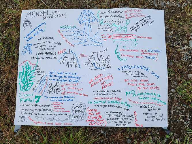 Elphinstone Farm field trip report