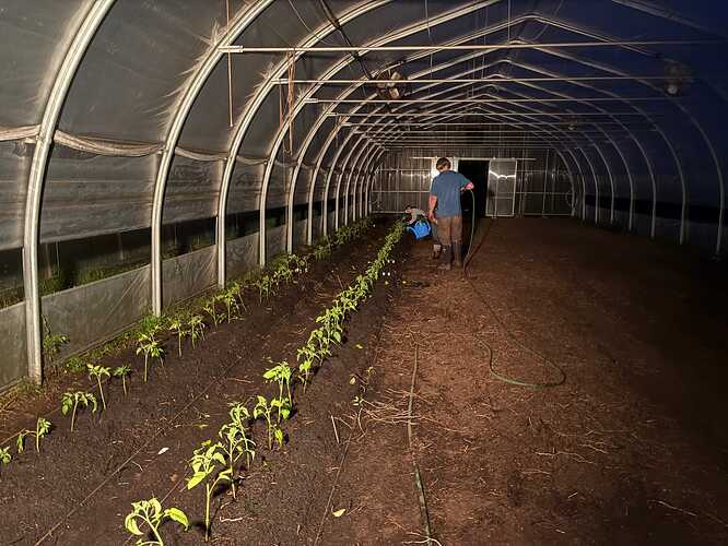 Elphinstone Farm field trip report